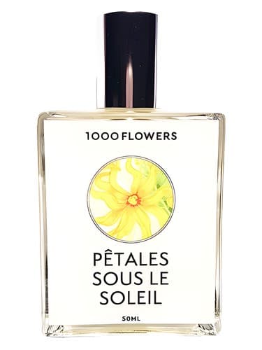 Petales Sous Le Soleil