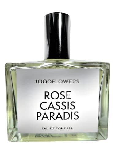 Rose Cassis Paradis