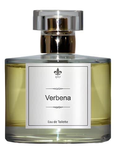 Verbena