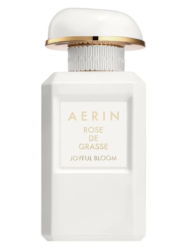 Rose de Grasse Joyful Bloom