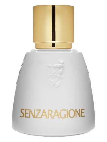 Senzaragione
