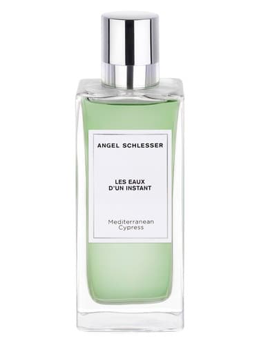 Mediterranean Cypress