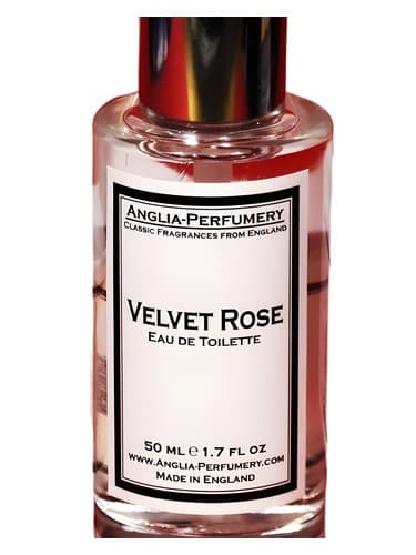 Velvet Rose