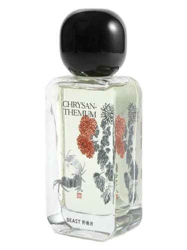 Chrysanthemum 采菊东篱