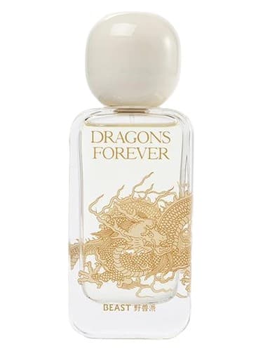Dragons Forever 龙之舞