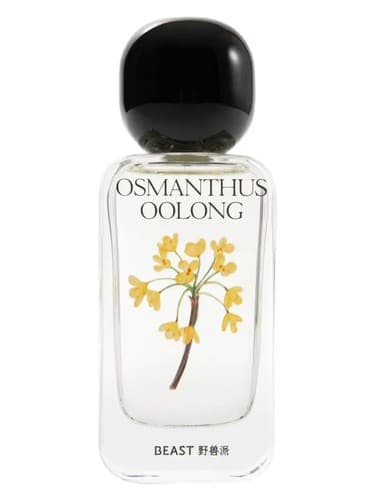 Osmanthus Oolong 桂花乌龙