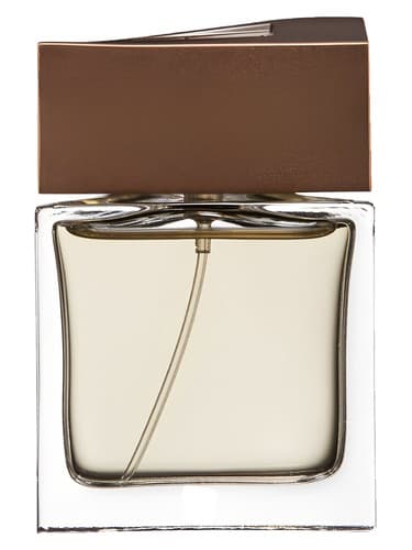 Brioni Man Eau de Parfum