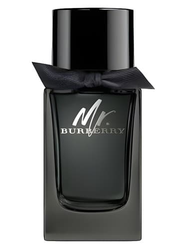 Mr. Burberry Eau de Parfum
