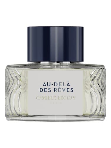 Au-dela des Reves