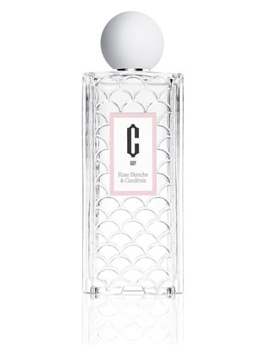 Rose Blanche & Gardenia