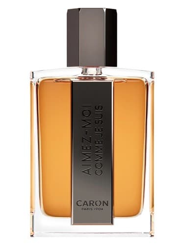 Aimez Moi Comme Je Suis