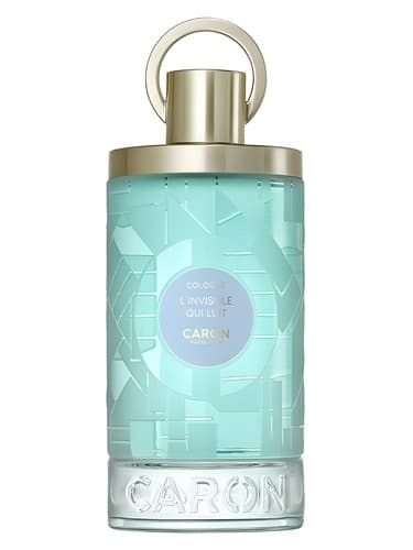 L'Invisible qui Luit