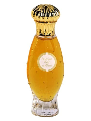 Narcisse Noir (1911)