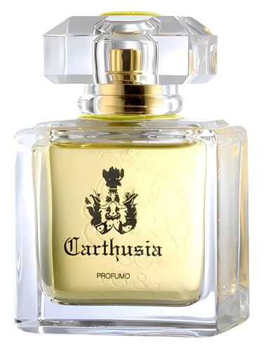 Mediterraneo Parfum
