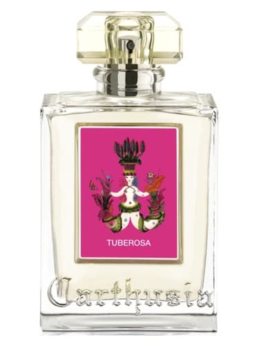 Tuberosa
