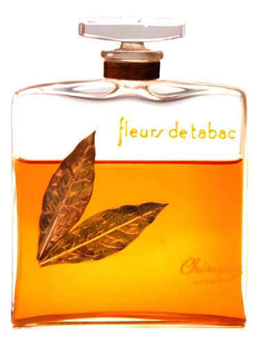 Fleurs de Tabac for Woman