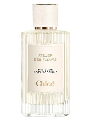 Hibiscus Abelmoschus