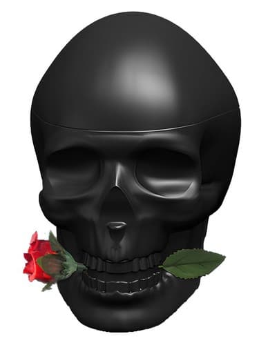 Ed Hardy Skulls & Roses for Man