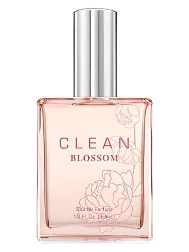Clean Blossom
