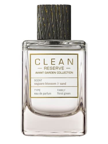 Saguaro Blossom & Sand