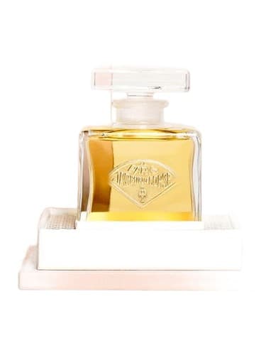 Le Jasmin de Corse 2020