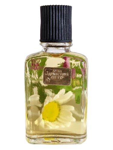 Здравствуй, лето (Hello, Summer)