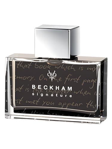 Signature Story for Man