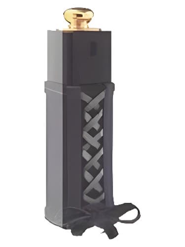 Dior Addict Dior Twist