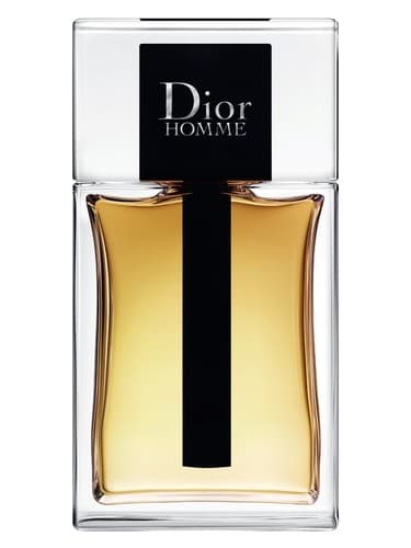 Dior Homme 2020 2020