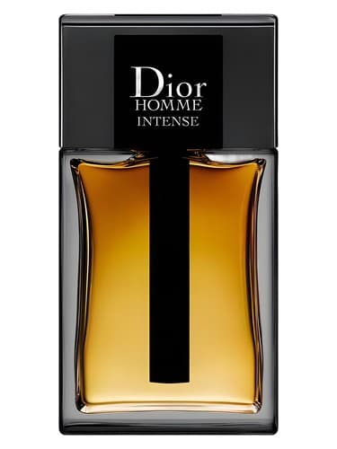 Dior Homme Intense 2011 for Man 2011