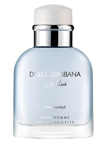 Light Blue Living Stromboli