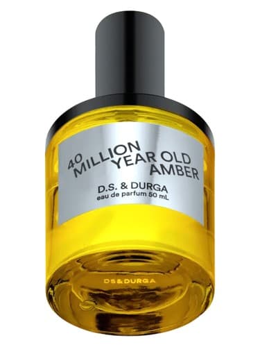 40 Million Year Old Amber