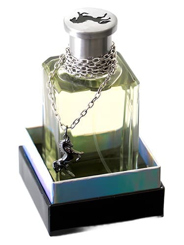 Black Stallion by Sergio Goyri