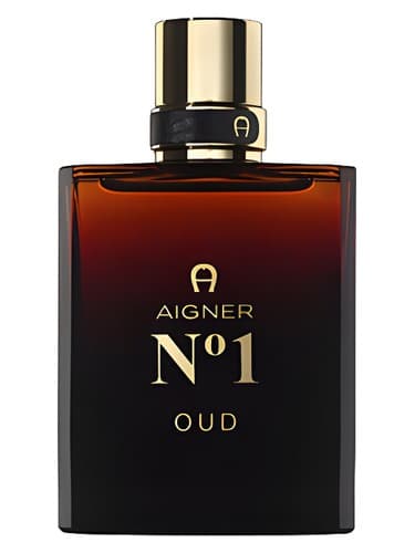 Aigner No1 Oud