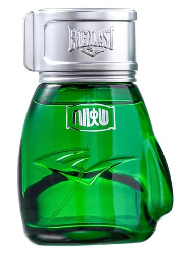 Choice Of Champions Street Fighter Brasil