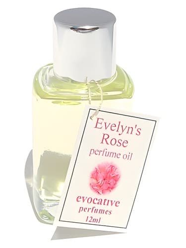 Evelyn's Rose