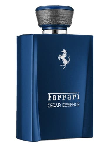 Cedar Essence