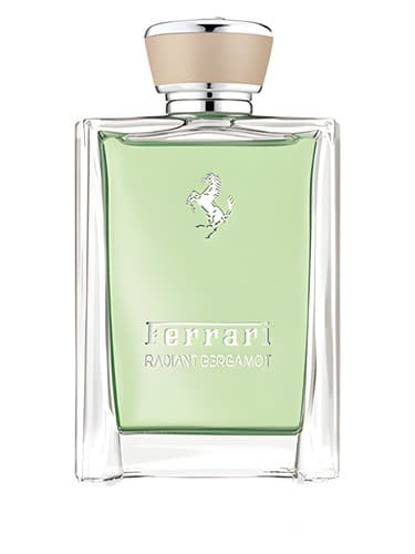 Radiant Bergamot