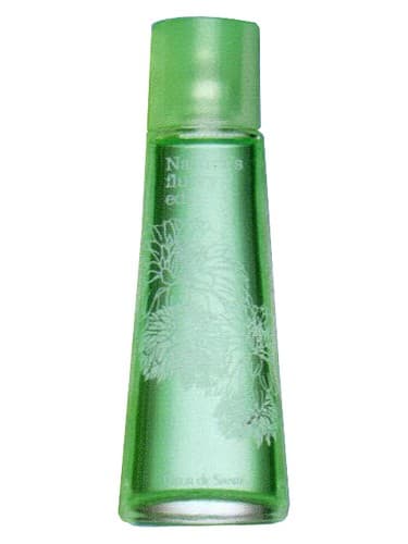 Natures Spring Flurry