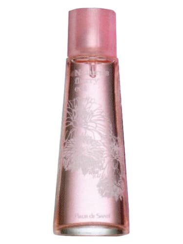 Natures Winter Flurry