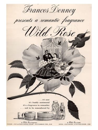 Wild Rose