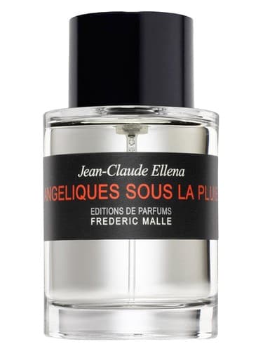 Angeliques Sous La Pluie