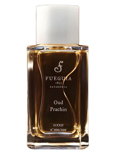Oud Prachin