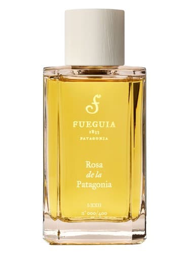 Rosa de la Patagonia