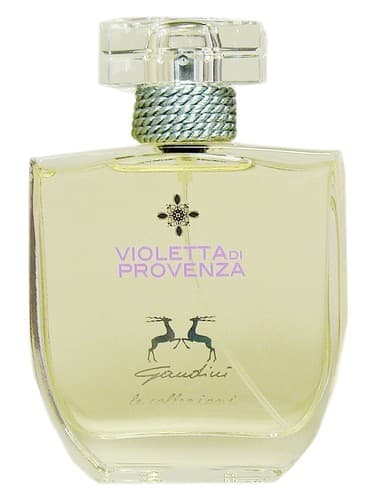 Violetta di Provenza