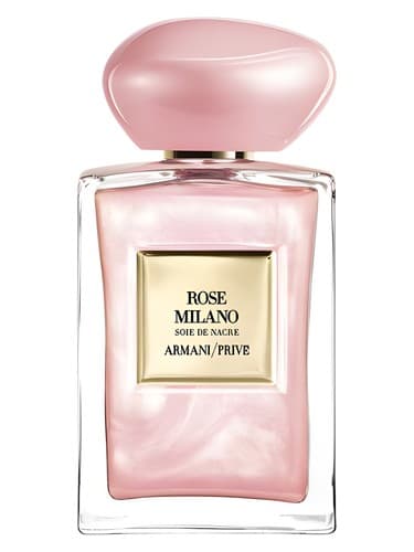 Rose Milano Soie de Nacre