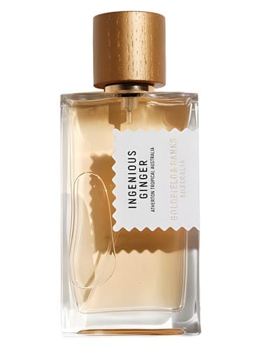 Ingenious Ginger