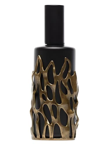 Alchemico Visione 2 Fuoco