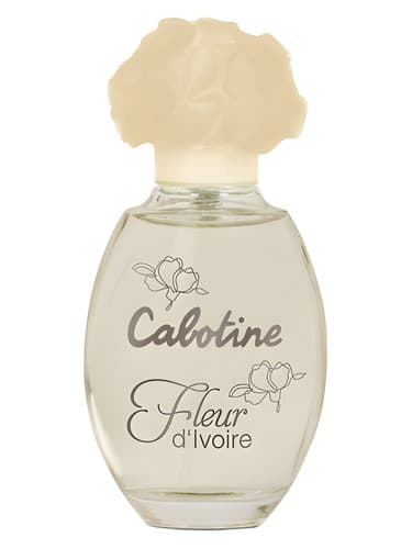 Cabotine Fleur d'Ivoire