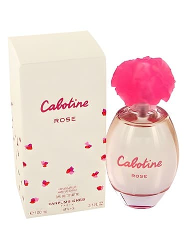 Cabotine Rose